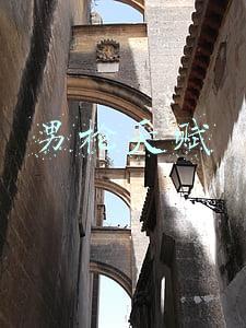 男枪天赋
