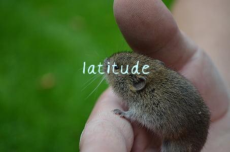 latitude