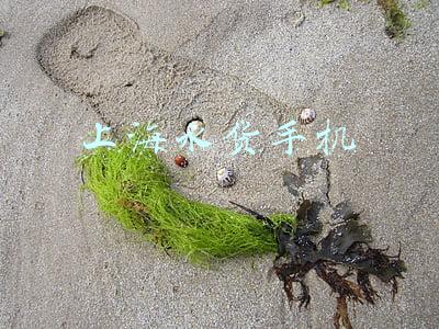 上海水货手机