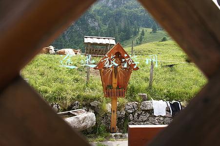猫途鹰旅游网(携程与猫途鹰达成战略合作，旗下品牌可共享猫途鹰内容)