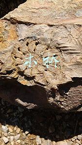 木桥公寓(苏州高新区：80余实践点打通“最后一公里”)