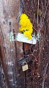 霍比特人1(魔幻电影里程碑之一：《霍比特人1》)