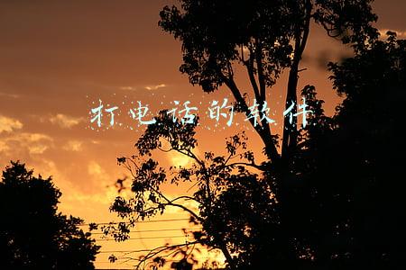 打电话的软件