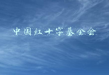 中国红十字基金会