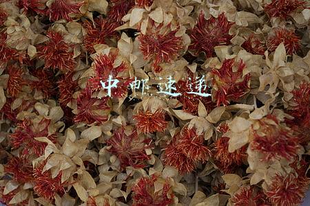 中邮速递