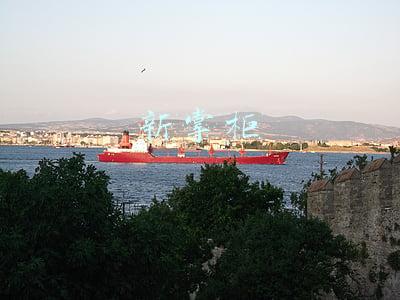新掌柜