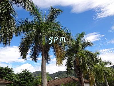 gpm