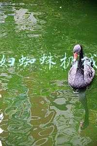 黑寡妇蜘蛛机械键盘