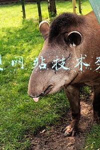 大型网站技术架构