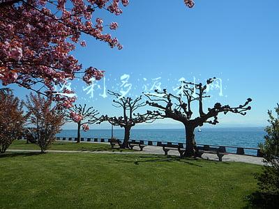 返利高的返利网(购物返利APP哪个最好用？2022年最好的返利平台)