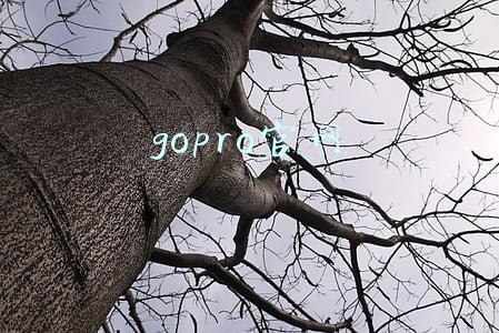 gopro官网