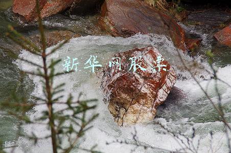 新华网股票