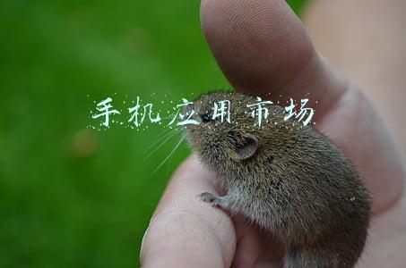 手机应用市场