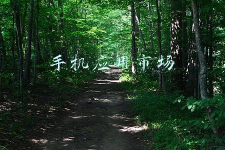 手机应用市场