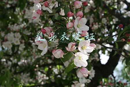 塑身衣缇娅