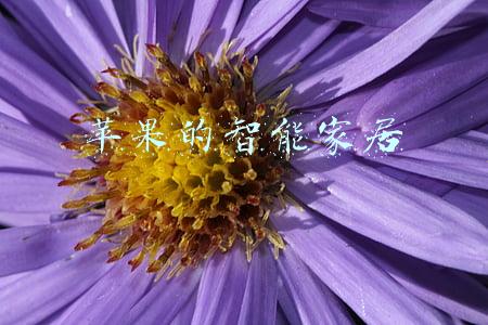 苹果的智能家居app叫什么(超级实用！iOS 16正式发布 这些新功能看着都心动)