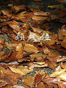 颈线位