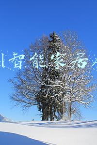 深圳智能家居展会