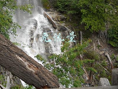 免流量