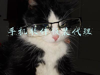 手机软件预装代理