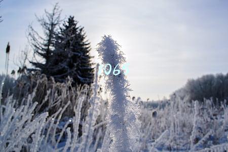 1065