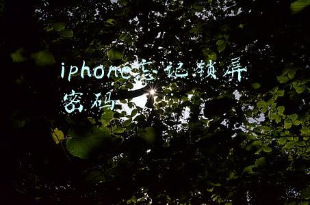 iphone忘记锁屏密码