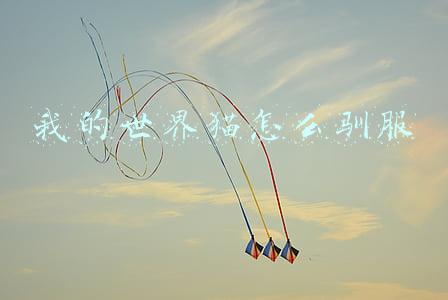 我的世界猫怎么驯服
