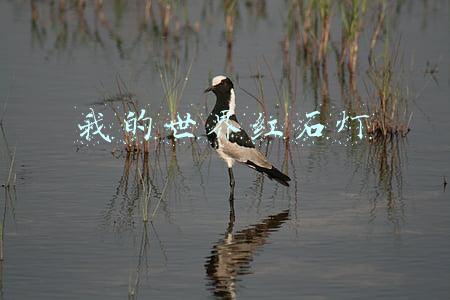 我的世界红石灯