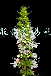 股票(赛道抱团重现！你的股票“出坑”了吗？——极简投研)