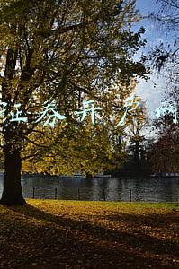 证券开户网