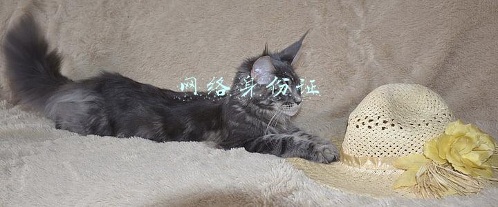 网络身份证