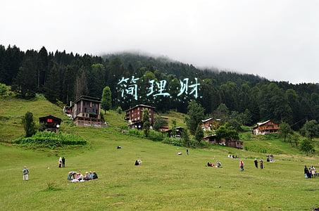 简理财