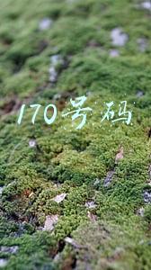 170号码