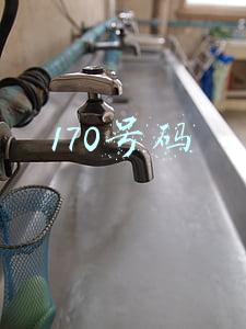 170号码