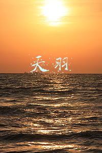 天羽