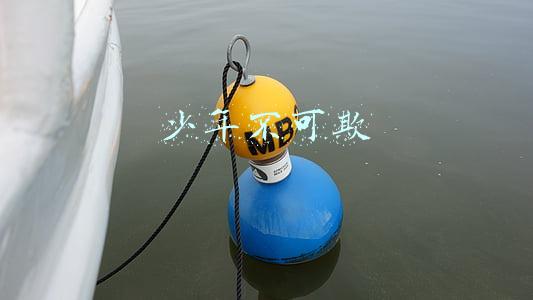 少年不可欺的诗句(《陈情令》：殊途知己，照日月明，最是少年不可欺……)