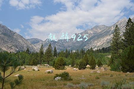 麒麟925