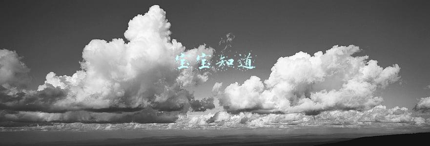 宝宝知道