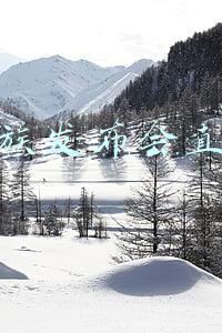 魅族发布会直播