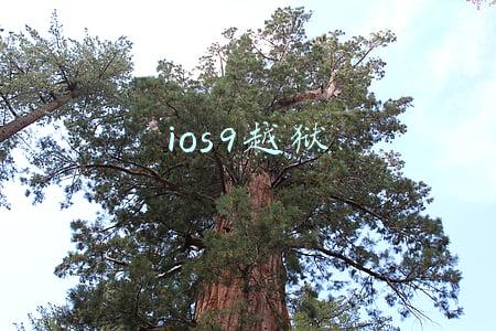 ios9越狱
