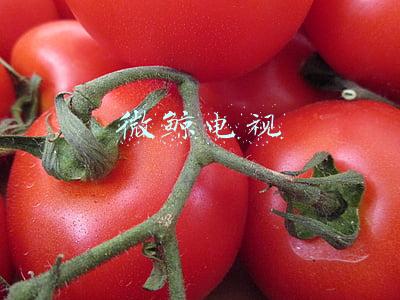 微鲸电视