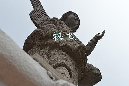 极飞