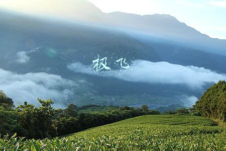 极飞