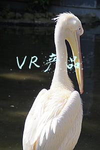 VR产品