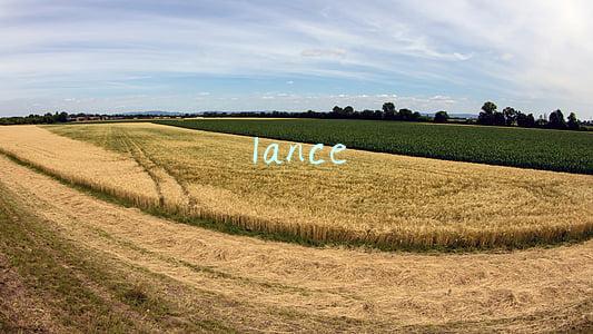lance