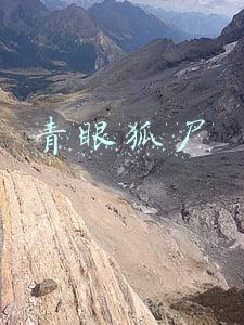 青眼狐尸