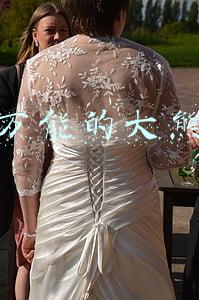 万能的大熊