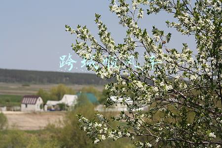 跨城顺风车