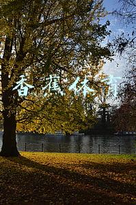 香蕉体育
