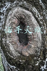 诺手天赋